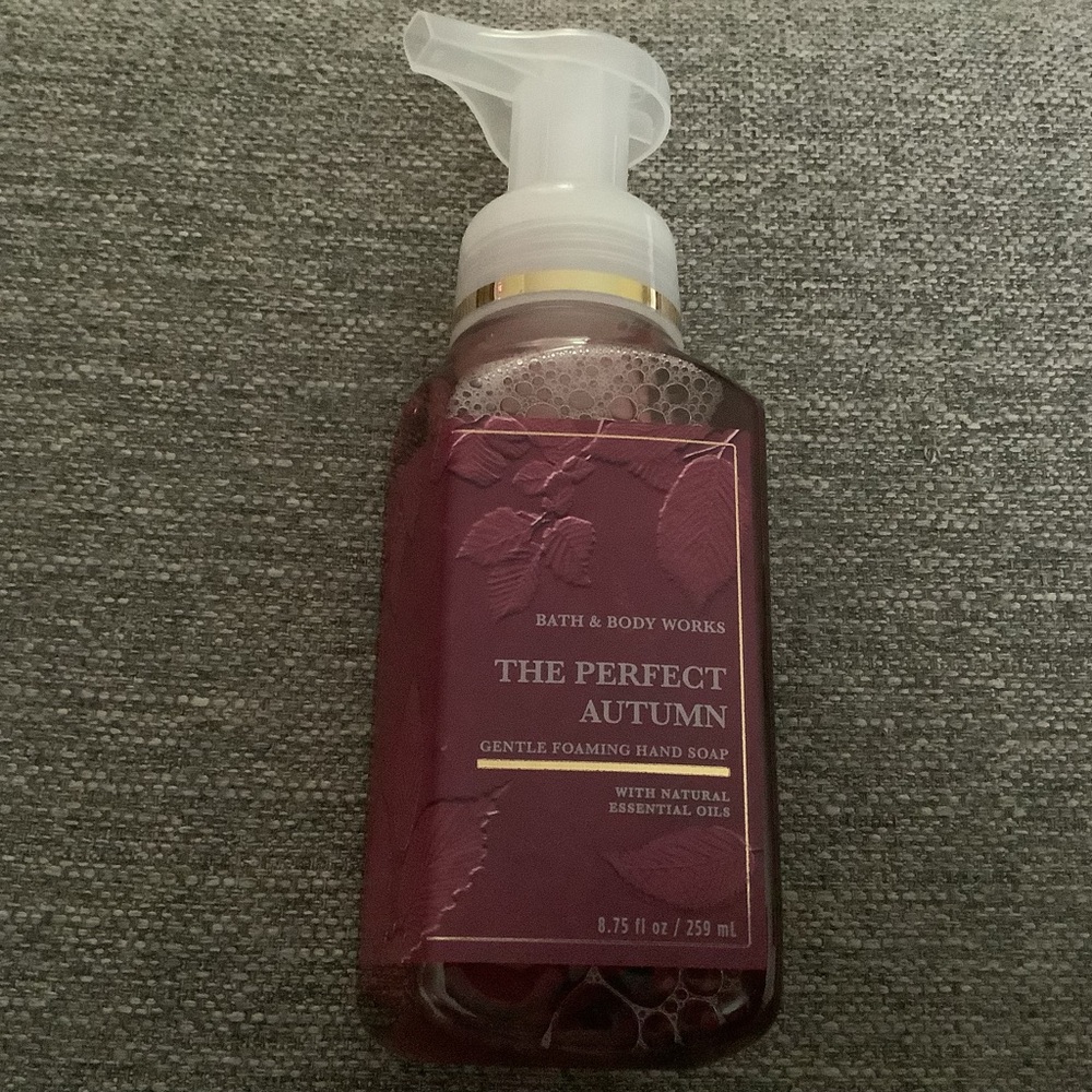 Bath & Body Works The Perfect Autumn Foaming Hand Soap New